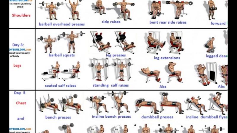 Can Black Workout Joggers Transform Your Training Routine. Capture Your Best Body With These Essential Picks