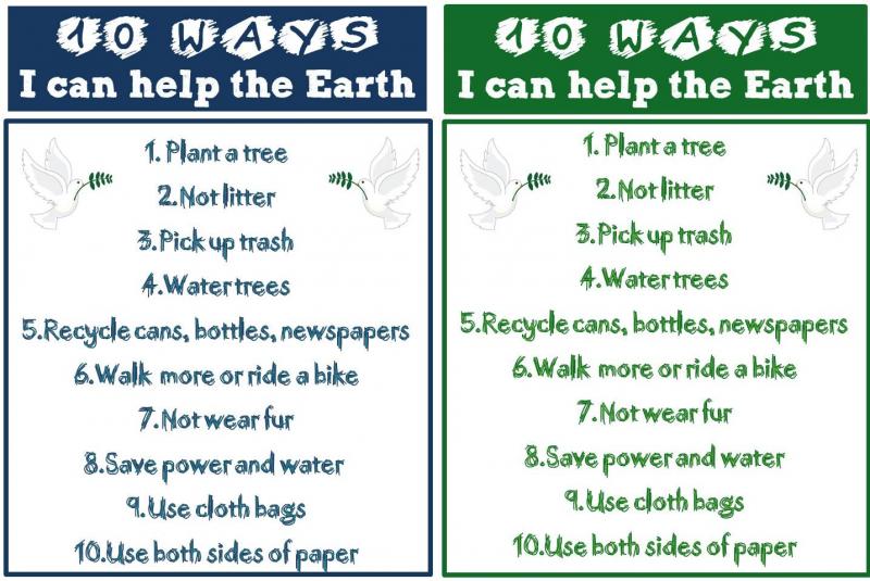Can Christmas Tree Bags Help Your Cleanup: 5 Surprising Ways to Recycle Your Tree After the Holidays