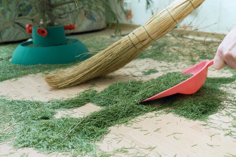 Can Christmas Tree Bags Help Your Cleanup: 5 Surprising Ways to Recycle Your Tree After the Holidays