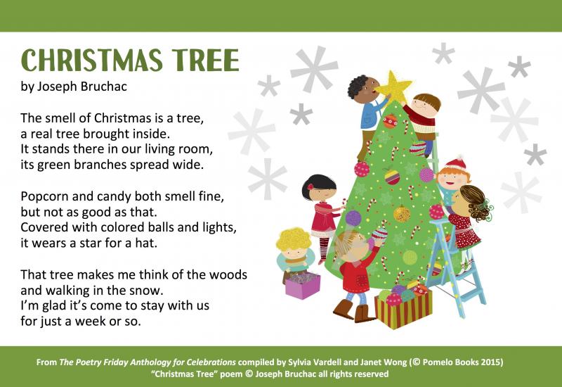 Can Christmas Tree Bags Help Your Cleanup: 5 Surprising Ways to Recycle Your Tree After the Holidays