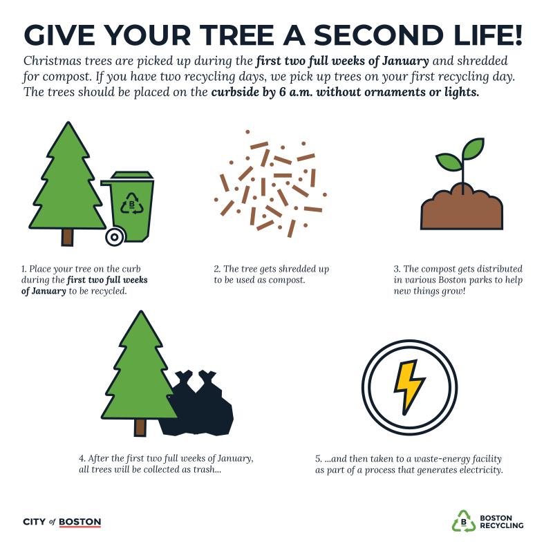 Can Christmas Tree Bags Help Your Cleanup: 5 Surprising Ways to Recycle Your Tree After the Holidays
