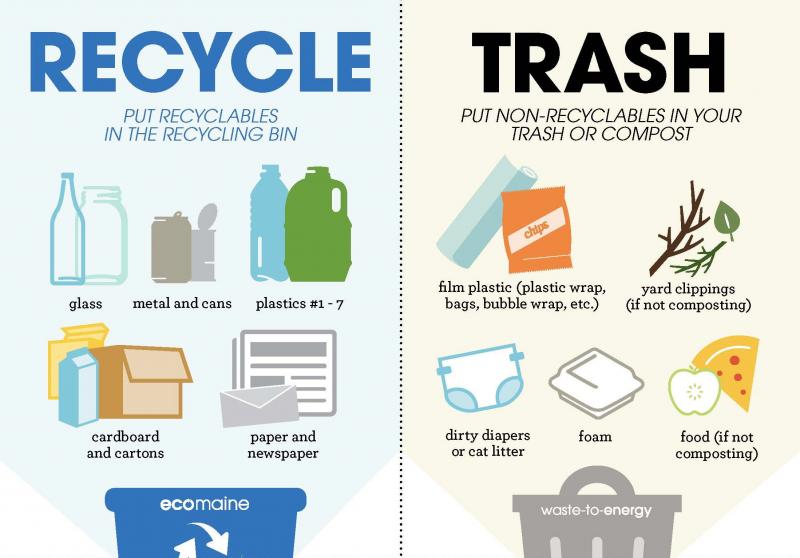 Can Christmas Tree Bags Help Your Cleanup: 5 Surprising Ways to Recycle Your Tree After the Holidays