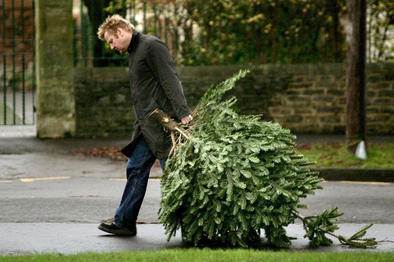 Can Christmas Tree Bags Help Your Cleanup: 5 Surprising Ways to Recycle Your Tree After the Holidays
