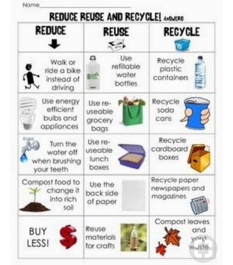 Can Christmas Tree Bags Help Your Cleanup: 5 Surprising Ways to Recycle Your Tree After the Holidays