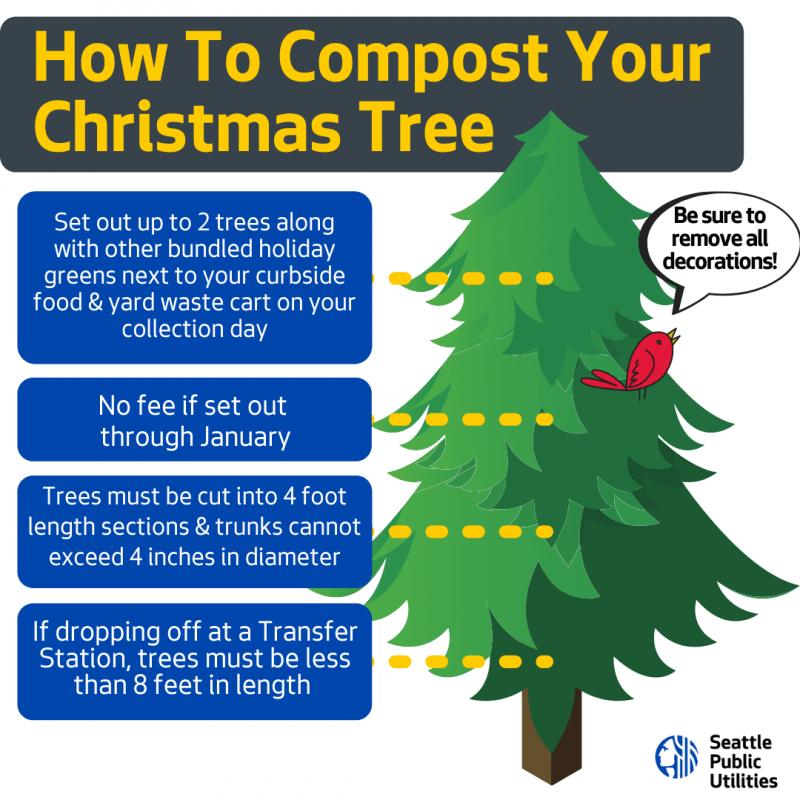 Can Christmas Tree Bags Help Your Cleanup: 5 Surprising Ways to Recycle Your Tree After the Holidays