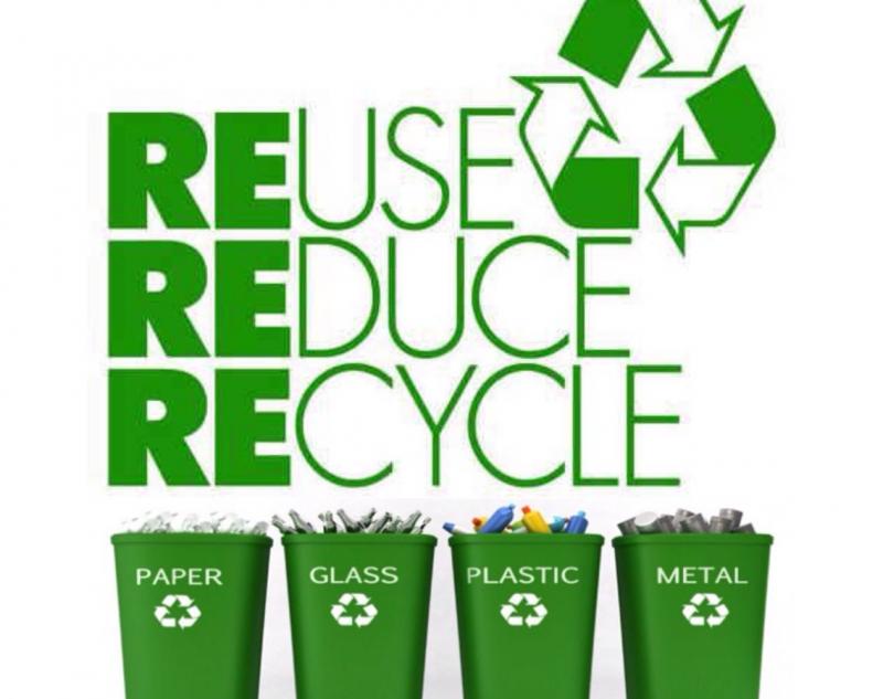 Can Christmas Tree Bags Help Your Cleanup: 5 Surprising Ways to Recycle Your Tree After the Holidays