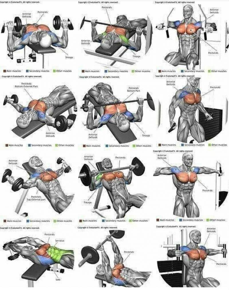 Can Compression Wear Transform Your Workouts: 15 Benefits to Supercharge Your Routine
