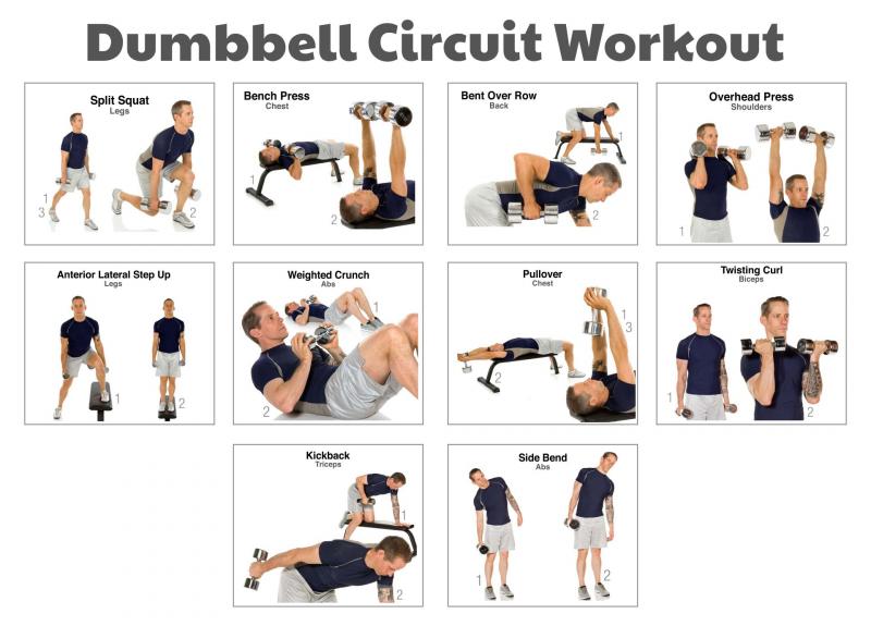 Can Power Block Pro 50 Fitness Equipment Revolutionize Your Home Workouts: Unlock Muscle Gains and Fat Loss With the Compact PowerBlock Pro 50 Adjustable Dumbbell System