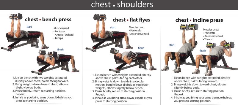 Can Power Block Pro 50 Fitness Equipment Revolutionize Your Home Workouts: Unlock Muscle Gains and Fat Loss With the Compact PowerBlock Pro 50 Adjustable Dumbbell System