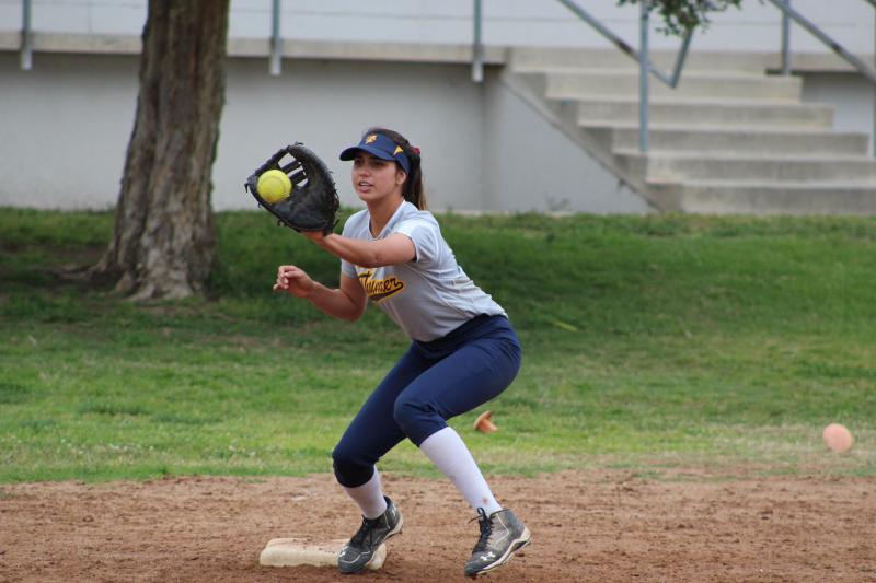 Can Pros Unlimited Transform Pro Softball