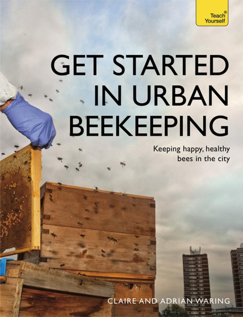 Can Urban Beekeeping Be Both Safe and Rewarding: The Complete Guide to Keeping Bees in the City
