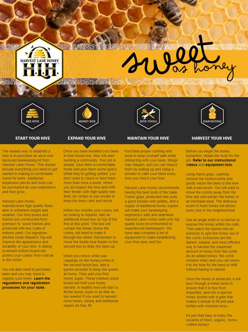Can Urban Beekeeping Be Both Safe and Rewarding: The Complete Guide to Keeping Bees in the City