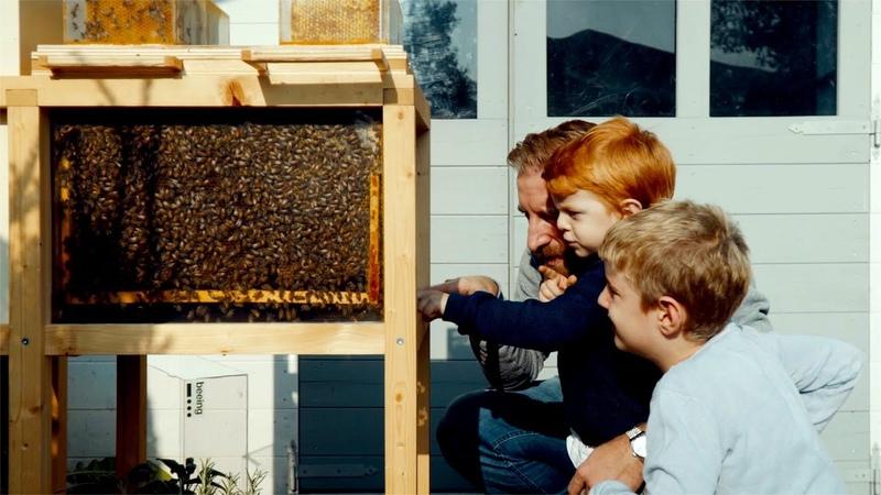 Can Urban Beekeeping Be Both Safe and Rewarding: The Complete Guide to Keeping Bees in the City