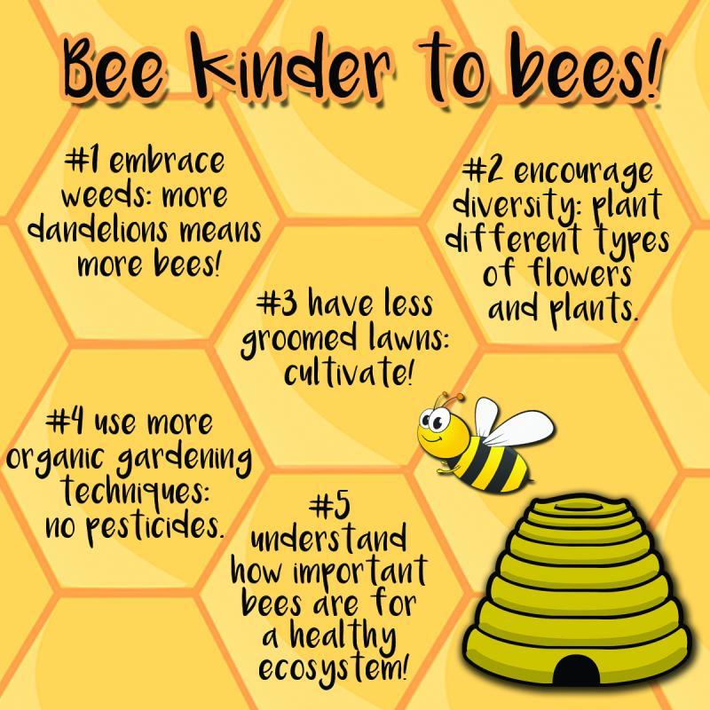 Can Urban Beekeeping Be Both Safe and Rewarding: The Complete Guide to Keeping Bees in the City