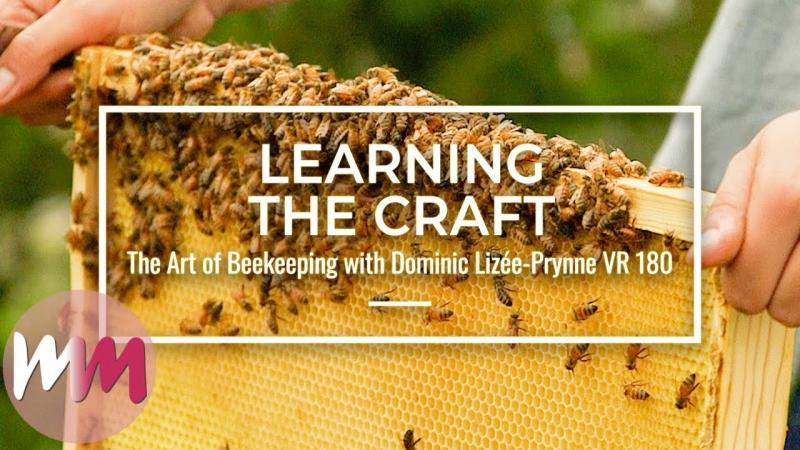 Can Urban Beekeeping Be Both Safe and Rewarding: The Complete Guide to Keeping Bees in the City