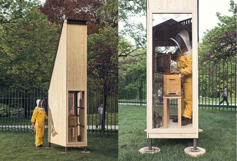 Can Urban Beekeeping Be Both Safe and Rewarding: The Complete Guide to Keeping Bees in the City