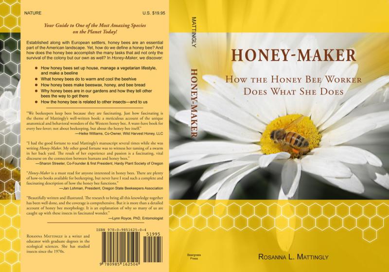 Can Urban Beekeeping Be Both Safe and Rewarding: The Complete Guide to Keeping Bees in the City