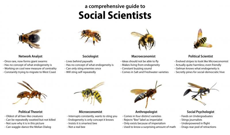Can Urban Beekeeping Be Both Safe and Rewarding: The Complete Guide to Keeping Bees in the City