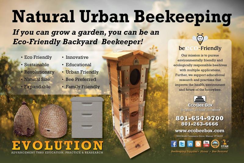 Can Urban Beekeeping Be Both Safe and Rewarding: The Complete Guide to Keeping Bees in the City