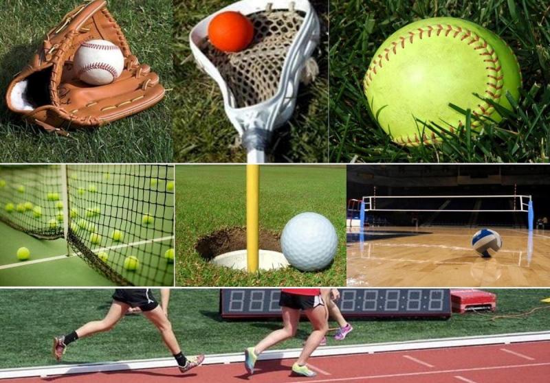 Can You Dye Lacrosse Balls At Home Any Awesome Color: 15 Fun Steps to Make Lacrosse Balls Pop