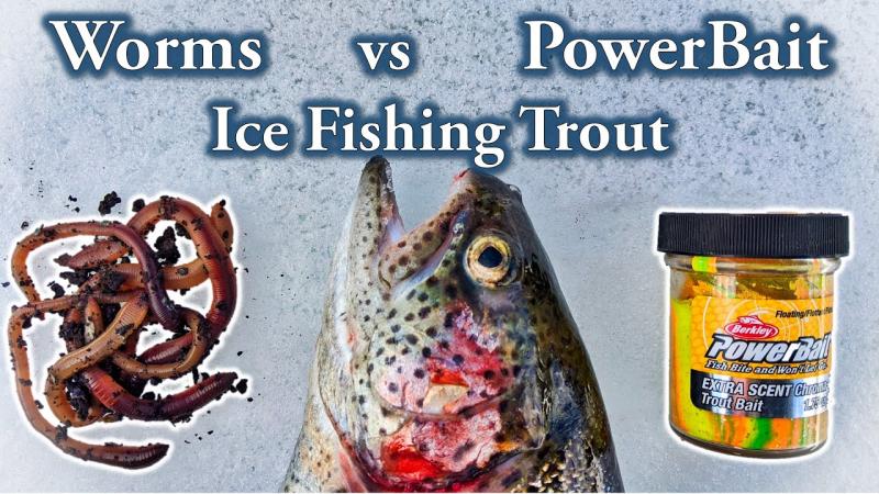 Catch More Salmon With These Unusual Baits: The Surprising Peach Glitter Powerbait Trick Anglers Swear By