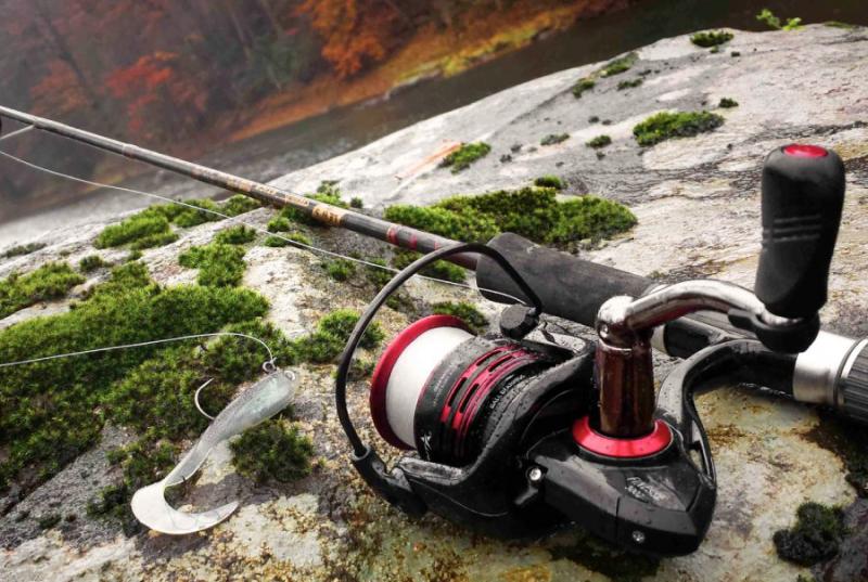 Catch More Saltwater Fish With This Zebco Combo: The Best 808 Saltwater Spinning Set Up Guide