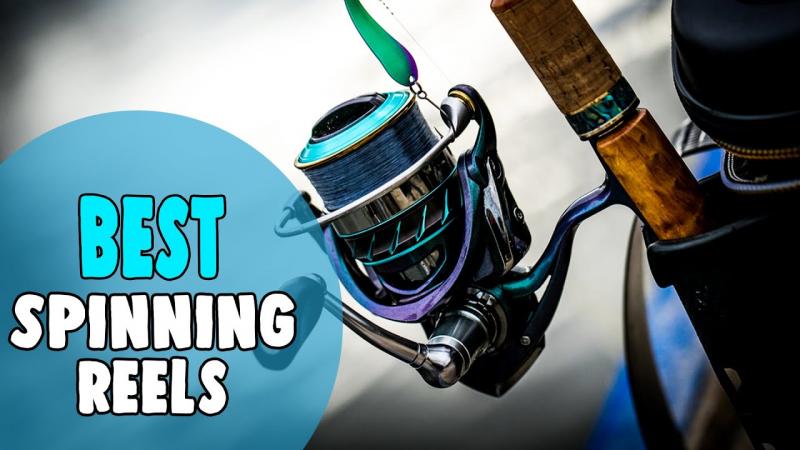 Catch More Saltwater Fish With This Zebco Combo: The Best 808 Saltwater Spinning Set Up Guide