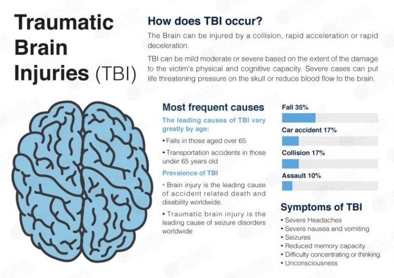 Could Lacrosse Cause Concussions. The Shocking Truth About Brain Injuries in Sports