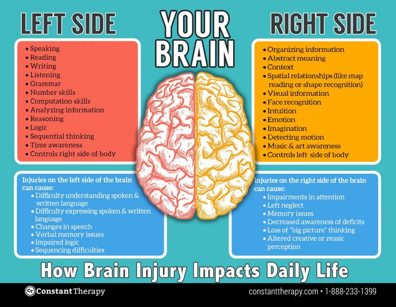 Could Lacrosse Cause Concussions. The Shocking Truth About Brain Injuries in Sports