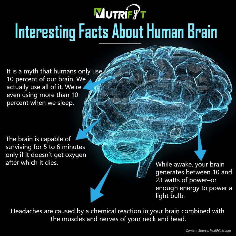 Could Lacrosse Cause Concussions. The Shocking Truth About Brain Injuries in Sports