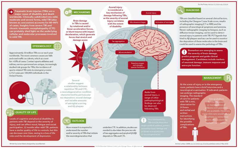 Could Lacrosse Cause Concussions. The Shocking Truth About Brain Injuries in Sports