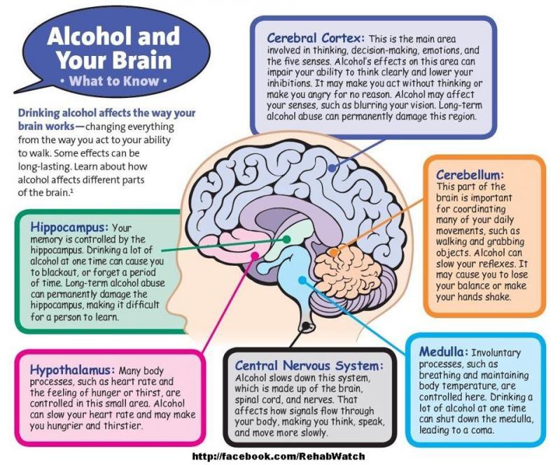 Could Lacrosse Cause Concussions. The Shocking Truth About Brain Injuries in Sports