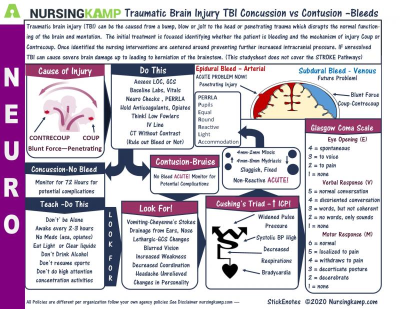Could Lacrosse Cause Concussions. The Shocking Truth About Brain Injuries in Sports