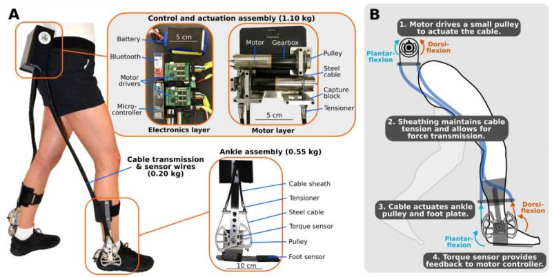 Could New Gait Torque 3 Technology Revolutionize Walking: Discover the Cutting-Edge Innovation Set to Empower Mobility