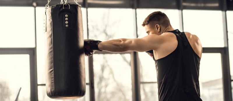 Could This Be the Best Punching Bag for Your Home Gym in 2023