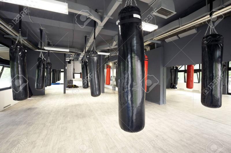 Could This Be the Best Punching Bag for Your Home Gym in 2023