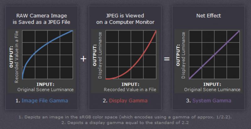 Could This Gamma 602 Fc Breakthrough Change Gamma Progression 602 Forever