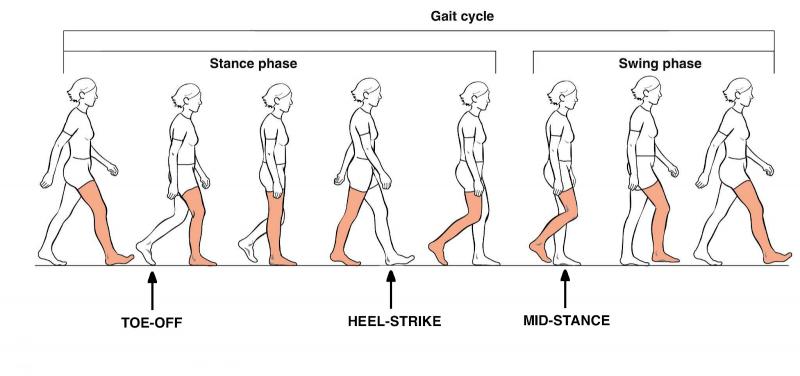 Could This Simple Device Improve Your Balance and Walking. The "Gait Draw" Explained