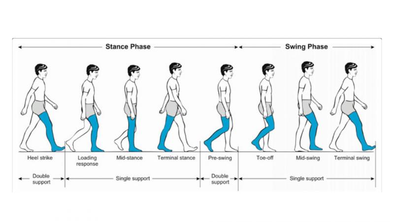 Could This Simple Device Improve Your Balance and Walking. The "Gait Draw" Explained