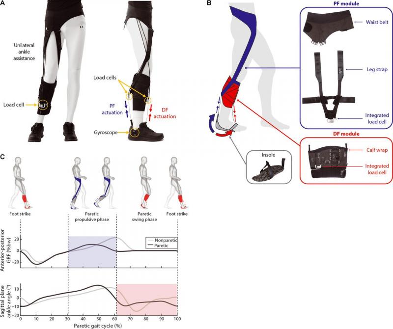 Could This Simple Device Improve Your Balance and Walking. The "Gait Draw" Explained
