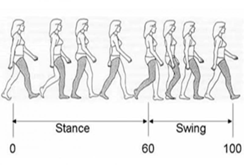 Could This Simple Device Improve Your Balance and Walking. The "Gait Draw" Explained