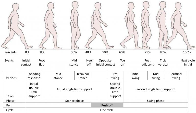 Could This Simple Device Improve Your Balance and Walking. The "Gait Draw" Explained