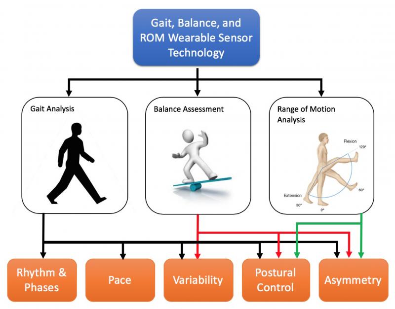 Could This Simple Device Improve Your Balance and Walking. The "Gait Draw" Explained