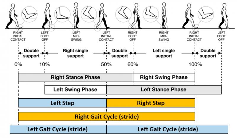 Could This Simple Device Improve Your Balance and Walking. The "Gait Draw" Explained