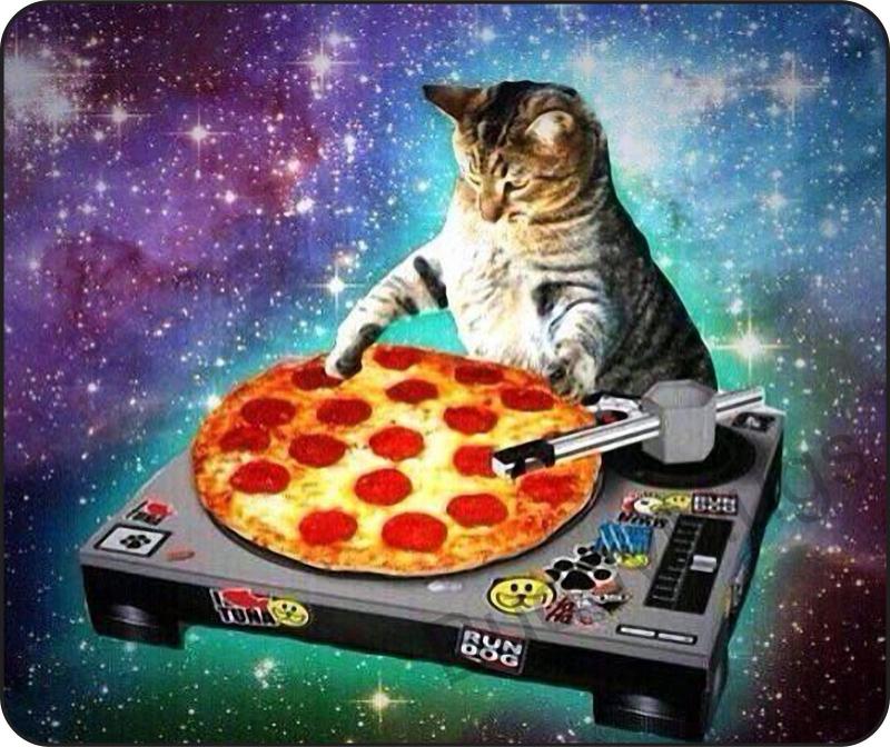 Could This Unusual Dartboard Be the Purrfect Game for Cat Lovers. Here