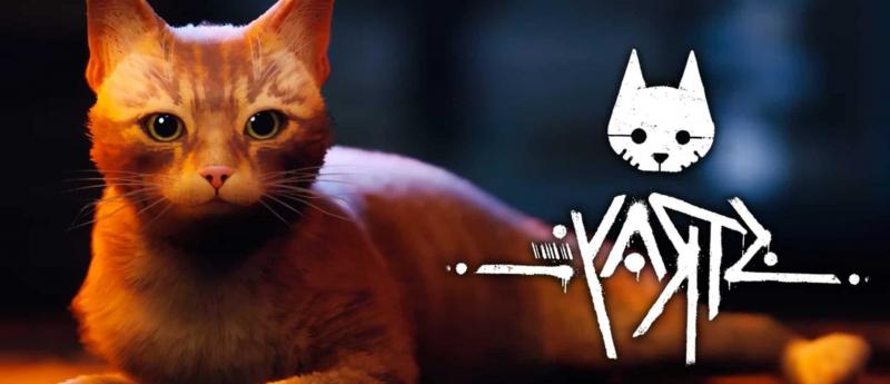 Could This Unusual Dartboard Be the Purrfect Game for Cat Lovers. Here