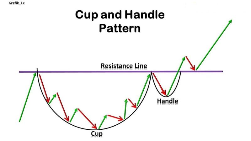 Cup or no Cup: How to Protect Yourself Properly When Playing Lacrosse