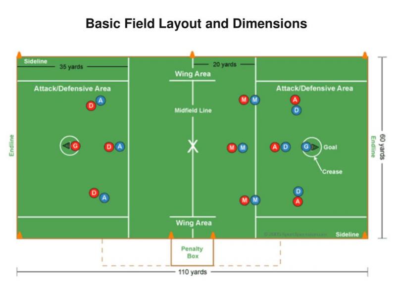 Curious About The Lacrosse Crease Area: Discover The Ins And Outs Of This Vital Lacrosse Zone