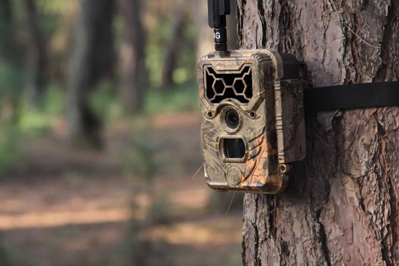 Deals on Trail Cams in 2023: Find the Best Bundle and Price for Game Camera Savings This Year