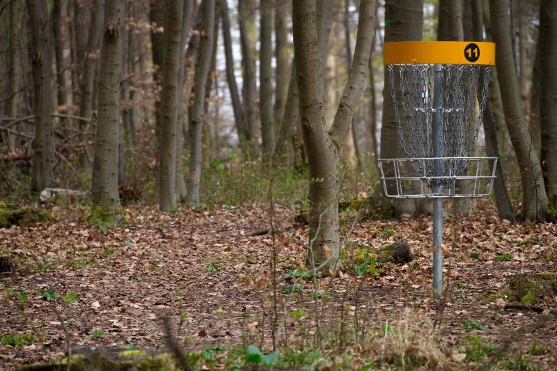 Disc Golf Equipment Near Me: How to Find the Perfect Set for Your Game